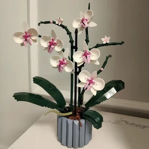 608tk Kimp orhidee ehitusplokid taim bonsai Täiskasvanutele kokkupandud mänguasi tüdrukule poisile sünnipäevakingitus 10311