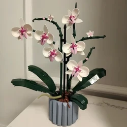608tk Kimp orhidee ehitusplokid taim bonsai Täiskasvanutele kokkupandud mänguasi tüdrukule poisile sünnipäevakingitus 10311