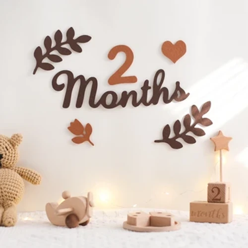 Cảm thấy Chữ Số Bé Tháng Cột Mốc Thẻ Sơ Sinh Chụp Ảnh Chống Đỡ Cột Mốc Tưởng Niệm Hàng Tháng Cho Bé Lưu Niệm Sơ Sinh Phụ Kiện Chụp Ảnh