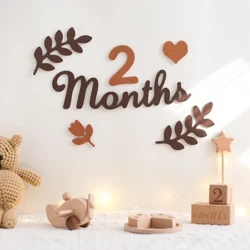 Felt Digit Baby Month Milestone Card Newborn Photography Prop Milestone Memorial Monthly Baby Souvenir Αξεσουάρ φωτογραφιών για νεογέννητο