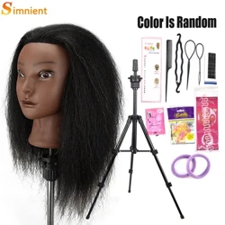 Pen Mannequin Affricanaidd 100% Hyfforddi Triniwr Gwallt Gwallt Go Iawn Gyda Phen Doliau Cosmetoleg Tripod Manikin Ar gyfer Steilio Plethu