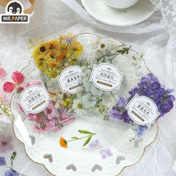 Mr.paper 2 Styles 40Pcs/Bag Fresh Flower Stickers Ins Style Cute Hand Account Material Αυτοκόλλητα Διακοσμητικά αυτοκόλλητα χαρτικά