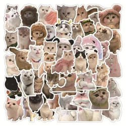 10/30/60Pcs Dessin Animé Chat Étanche Graffiti Autocollant Esthétique Décoratif Bagages Tasse Guitare Ordinateur Portable Téléphone Portable Enfants Autocollants