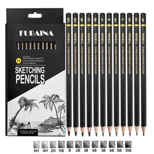 Set di matite per schizzi da disegno professionali, 12 matite artistiche Matite per sfumature in grafite per principianti e artisti professionisti