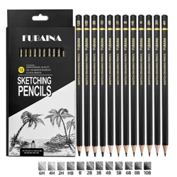 Professional Drawing Sketching Pencil Set, 12 Pieces Art Pencils Graphite Shading Pencils para sa mga Baguhan at Pro Artist