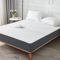 Khách sạn Nệm Nệm mềm Nhà Thin Simmons Nệm Nệm Chăn Tờ hai người Mùa hè chống trượt Bộ đồ giường Mattres
