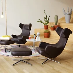 Leisure Snail Chair with Ottoman