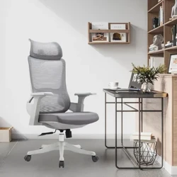LCL0298 Noho Keʻena ʻOihana Ergonomic Sedentary