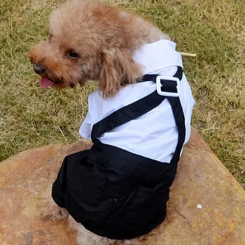 Quần Áo Thú Cưng Chó Con Jumpsuit Phù Hợp Với Thắt Nơ Áo Sơ Mi Tuxedo Phong Cách Trang Phục Tiệc Cưới Trang Trọng - S M L XL XXL - Trắng Đen 20A