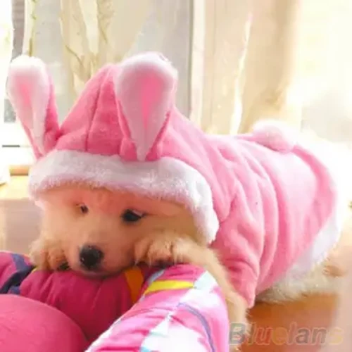 Haustier, Hunde, Katzen, süßer Kapuzenpullover, Hasenkleidung, warme Winterkostüme für Welpen, Bekleidung