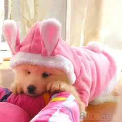 Pet Dog Cats Cute Hoodie Bunny Izingubo Ebusika Efudumele Umdlwane Izingubo Izingubo
