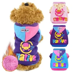 Casaco de inverno para cachorro, grosso, quente, à prova de vento, roupas ao ar livre, leve, com capuz, jaqueta acolchoada de algodão, chihuahua, yorkshire, roupa para animais de estimação