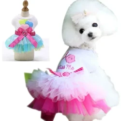 Rochie de vară pentru câini Fusta din dantelă pentru pisici Îmbrăcăminte pentru animale de companie Fusta cu dungi Chihuahua Îmbrăcăminte prințesă pentru cățeluș Îmbrăcăminte drăguță pentru cățeluș Accesorii pentru câini
