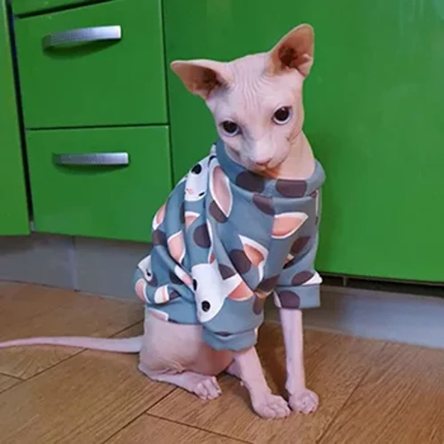 Gwisgoedd Cath Sphynx Gaeaf Cnu Cnu Hwdi Cath Cynnes Côt ar gyfer Cŵn Bach Dillad Anifeiliaid Anwes Cŵn Bach Ciwt Dillad Crys Cath Di-flew siwmper Crys Cath