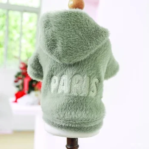 1PC Pet Apparel Kaz Hond Hierscht a Wanter Verdickte Warm Gréng Paräis Bréifhut Mantel Gëeegent fir kleng a mëttelgrouss Hënn