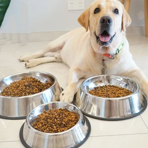 6 памераў Pet Dog Cat Міскі з нержавеючай сталі Кармушка Міска для вады для хатніх сабак, котак, шчанюкоў, ежа на адкрытым паветры XS/S/M/L/XL/XXL