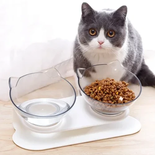 Babhla Cat Dúbailte Neamh-duillín Peataí Uisce Beatha Bia Babhlaí Madraí Babhla Peataí Le Claonadh Seastán Cait Fothaí Beathaithe Babhla Soláthairtí Kitten