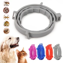 Baintear Scríbín agus Collar Tic le haghaidh Madraí Cait suas le 8 mí Collar Tic Scríbín Coiléar Cat Briseadh Frithmhoscóta & Feithidí
