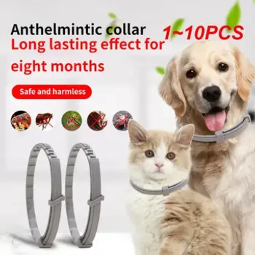 1 ~ 10 adet uzatılabilir evcil hayvan pire yaka antiparaziter kolye kişiselleştirilmiş Anti pire ve kene büyük köpek yavrusu kedi anti-pire yaka