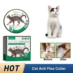 Ikholomu Yokuvimbela Izinambuzane Ezifuywayo I-anti Flea Tick Itch Relief Mosquito Insect Rexoxia Izinambuzane Ukulawula Okuguquguqukayo Ikholola Yekati Yokuqeda Izikelemu