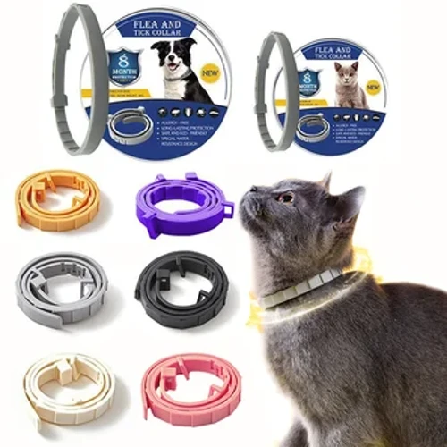 Bảo vệ bọ chét và ve Có thể điều chỉnh Vòng cổ thú cưng cho chó Mèo 8 tháng Kiểm soát dịch hại Chống muỗi Đuổi côn trùng Thú cưng Accessorie