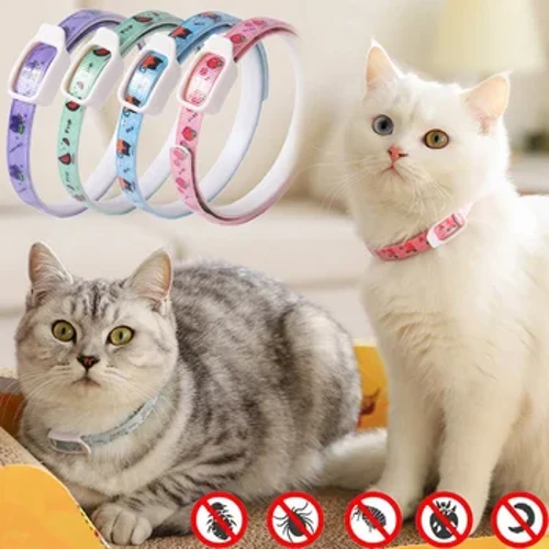 Vòng cổ chống bọ chét và ve lâu dài cho chó và mèo Vòng cổ chống bọ chét cho thú cưng có thể điều chỉnh Phòng ngừa và kiểm soát sâu bệnh an toàn trên chó con