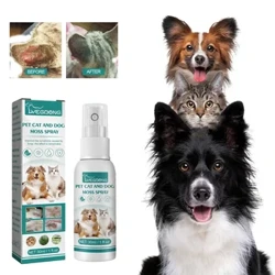 Hudpleje til kæledyr Spray Dermatitis Allergi Antibakteriel Loppe Flåtdræber Fjernelse af hvalpe Mide Lindre kløe Kat Ringorm Behandling
