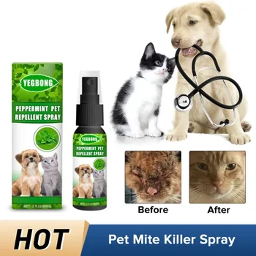 Pet Flea Spray Tick Control Itch Relief Lice Insect Remover Cat Ringworm Sakit sa Balat Paggamot Anti Inflammatory Dog Insectcide