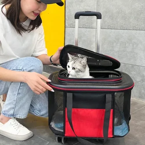 Iompróir Peataí Cat ag dul ar backpack Mála stroller Cait Roth Uilíoch Taisteal Bosca Tralaí Peataí Móra Inaistrithe Roth Uilíoch