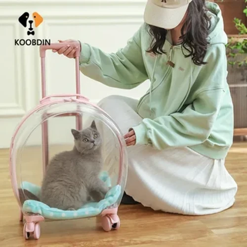 ʻAla ʻulaʻula Pet Carrier Trolley no ka huakaʻi hele ʻana i waho o ka lawe ʻana i waho ʻo Pets Trolley pahu pahu lawe kaʻa no nā ʻīlio liʻiliʻi liʻiliʻi ʻo nā ʻīlio pipi.