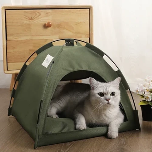 hale lole pipi moe popoki hale lako na mea e pono ai na mea e pono ai na cushions pumehana na hale lole sofa sofa moena hooilo clamshell kitten tents cat