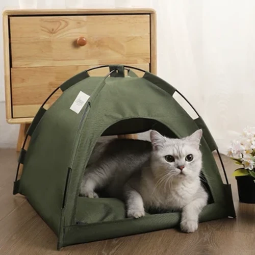 hale lole pipi moe popoki hale lako na mea e pono ai na mea e pono ai na cushions pumehana na hale lole sofa sofa moena hooilo clamshell kitten tents cat