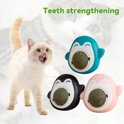Nā Poʻe Catnip Nā Paʻi Paʻi Paʻi Mineta E ʻoki ana i nā niho Poʻo Mint Poʻo ʻAi ʻAi ʻAi ʻAi ʻAi ʻAi ʻAi ʻAi ʻAi Paʻa Paʻa Paʻa Paʻa Pāʻani no nā lako holoholona.