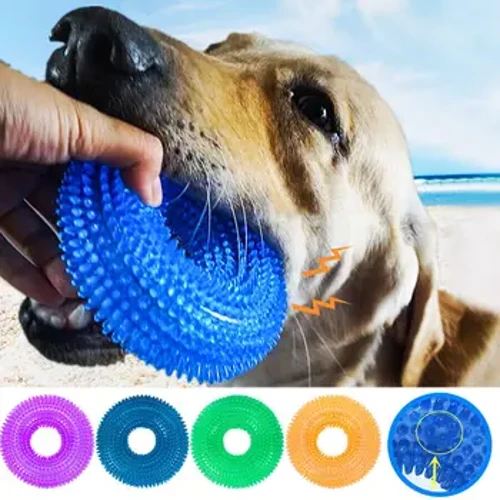 Pet Köpek Oyuncak Köpek Sondaj Oyuncak Molar Cızırtılı Diş Temizleme Halkası TPR Eğitim Pet Diş Çiğneme Oyuncağı Diken Köpek Aksesuarları