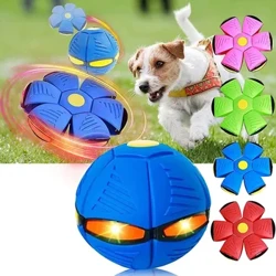 2024 Mới Bền Cao Su Mềm Tương Tác Ném Bóng Nhỏ Vừa Chó Lớn Cho Thú Cưng Đồ Chơi Magic Đĩa Bay Bóng