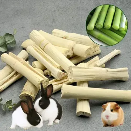 Jouet à mâcher molaire en bambou pour petit animal de compagnie, Hamster, cochon d'inde, écureuil, lapin, Chinchilla, nettoyage des dents, bâton en bambou