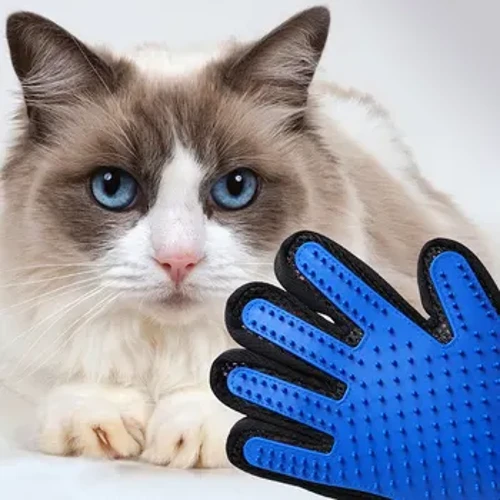 Gants d'épilation pour animaux de compagnie, Massage pour chat et chien, bain, nettoyage, fournitures de toilettage, brosse d'épilation en Silicone