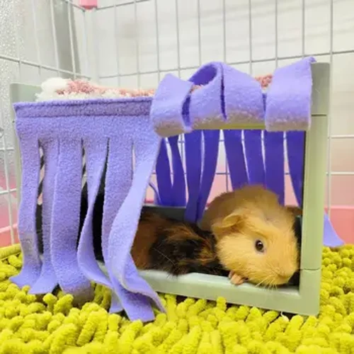 Ascunde Casă Pat ciucuri Ușă Perdele Moale Confortabil Lavabil Animale Mici Cușcă Accesorii Pentru Cobai