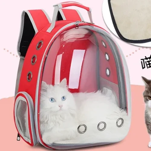 Kitty Bird Iompróir Peataí Breathable le haghaidh Taisteal Iompróir Peataí Cat Backpack Capsule Bubble Pet Backpack Madraí Ainmhithe Trédhearcach Beaga