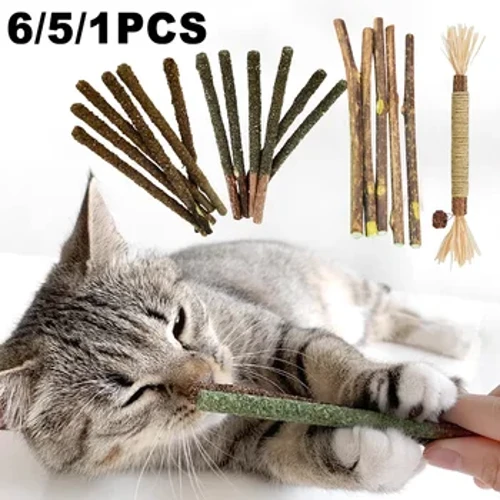 6/5 Pcs Kucing Mint Molar Tongkat Kucing Chew Mainan Kucing Alami Pasta Gigi Kucing Pembersih Gigi Catnip Lucu Kucing Tongkat Kucing Aksesoris