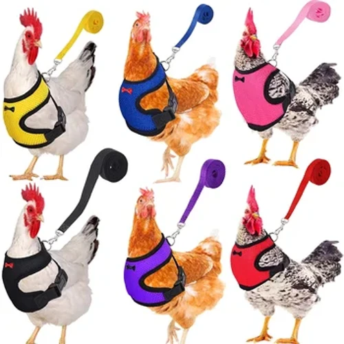 Moda Pollo Anatra Gilet Gallina Cintura Pettorina per animali Collari coordinati Arco Comodi cavi Traspiranti Forniture per pollame