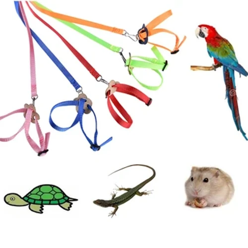 Alça de tração ajustável para animais de estimação, corda de treinamento anti-mordida, hamster, tartaruga, lagarto, coleira de pássaros