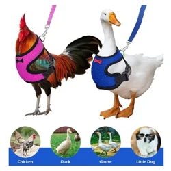 Pet Duck Mo'a moa La'ei Moa Vest Hen Fusi Fagafao Fa'afeagai Collars Bow Moole Sapalai
