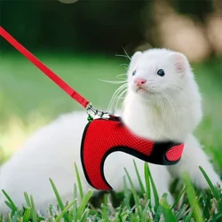 Mesh dem alýan öý haýwanlary, Ferret Leash toplumy ownuk haýwanlar üçin towşan hamsters Tomus ýöreýän haýwan gurşun maskotasy esbaplary
