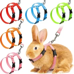 Pris Isel Cwningen Cat Harnais a Leash Set Harneisiau neilon Addasadwy ar gyfer Bunny Kitten Anifeiliaid Anwes Cerdded Awyr Agored Cyflenwadau Affeithwyr