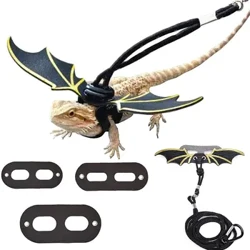 Justerbar Bearded Dragon koppel Sele set Vingar Kostym Kläder från bebis till ungdomsödla Iguana Gecko Kameleont Går