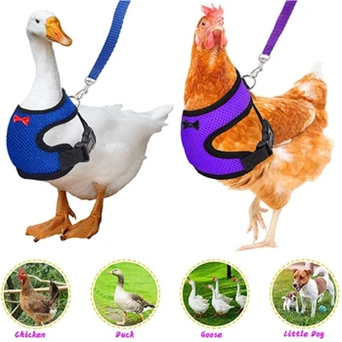 Leash Harnais Cyw Iâr Addasadwy Cyfforddus Ac Anadlu Maint Bach Fest Hen Anifail Anwes Ar Gyfer Cerdded Hyfforddiant Hwyaden Gŵydd Cyw Iâr