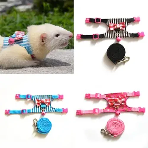 Fuavai Fatafata Fagafao Stripe Hamster Lapiti Nonoa Fa'aufau Fa'aofuofu Fa'aofuofu Fu'a Fa'asu'i Iole Nonoa Fatafata Fua Fagafao Laiti