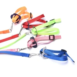 Parrot Éan Inchoigeartaithe Lasmuigh Úim Leash Traenála Frithghiotán Rópa Eitilte Úim Leash Hamster Turtar Éanlaith Rópa Tarraingthe