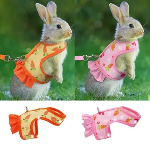 Dây Xích Thú Cưng Chất Lượng Cao Dây Xích Họa Tiết Hoạt Hình Thời Trang Bộ Dây Xích Thú Cưng Cho Thỏ Chuột Lang Đi Bộ Ngoài Trời Cho Nhỏ
